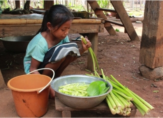Phoutsamay's Story (Laos)